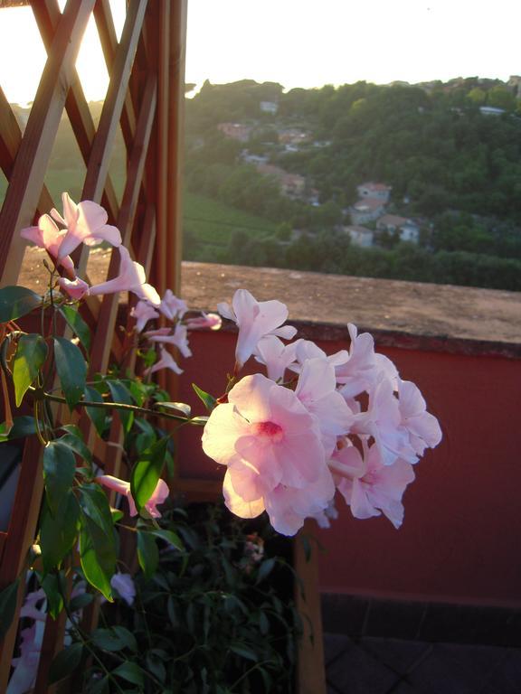 Casa Vacanze Palazzo Primoli Ariccia Kültér fotó